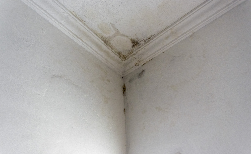 Rain Water Infiltration And Leak Inside A Home Building Roof