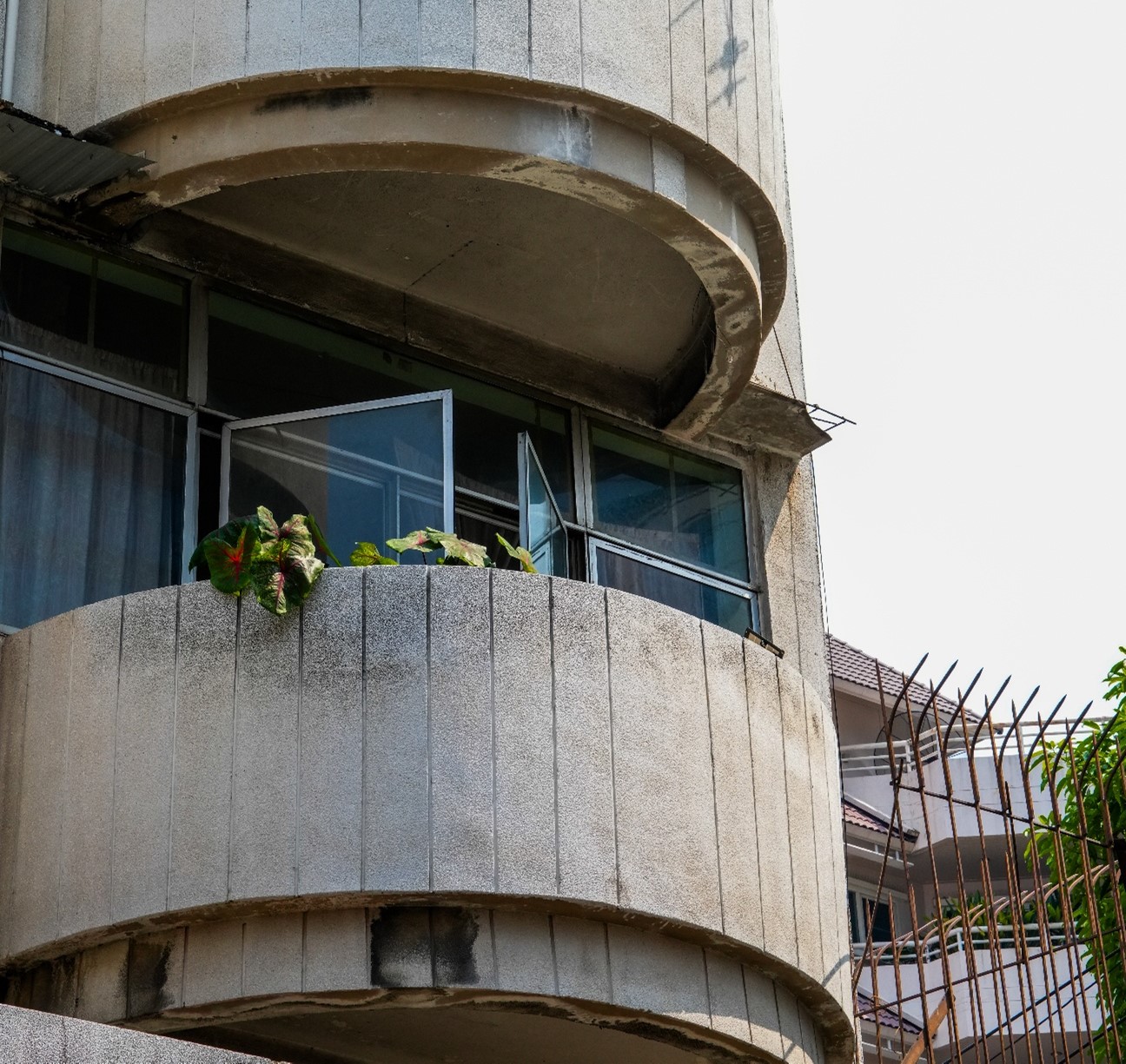 Curved concrete balconies of a mid-century apartment building with a potted plant on the ledge and open window
